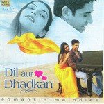 Dil Aur Dhadhan - Ustad Amjad Ali Khan Song Download